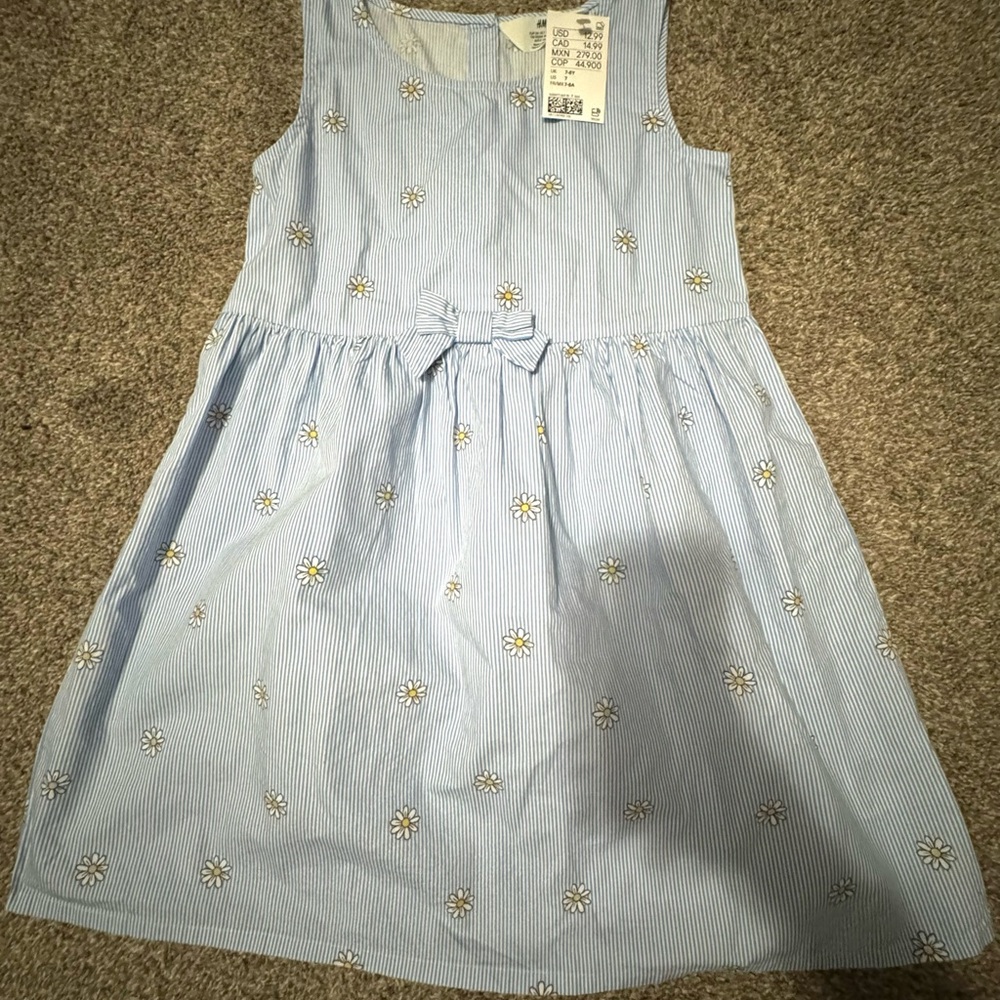 H&M Light Blue Striped Kids Dress with Floral Accents